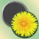 Suche nach dandelion magnete Unkraut