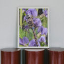 Suche nach blaues mit augen poster Libelle