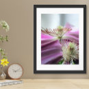Suche nach französischer lavendel poster Blume