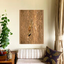 Suche nach baumstamm poster Tier