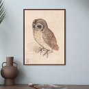 Suche nach owls poster Zeichnend