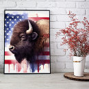 Suche nach bison foto poster Amerika