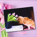 Suche nach rosa tulpe postkarten Elegant