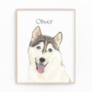 Suche nach husky poster Blaue augen