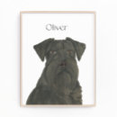 Suche nach schnauzer hunde poster Personalisiert