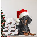 Suche nach dackel geschenkpapier Weihnachtsmannmütze