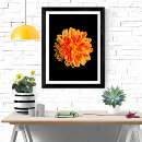 Suche nach dahlien poster Natur