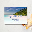 Suche nach island Palme