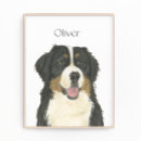 Suche nach weißer hund poster Für sie/ihn