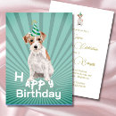 Suche nach jack russell Rosa