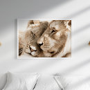 Suche nach lions poster Liebe
