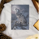 Suche nach wölfe postkarten Nacht