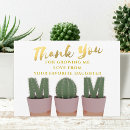 Suche nach cactus karten Hauspflanze