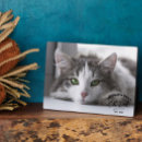 Suche nach vintag fotoplatten Dad