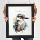 Suche nach kookaburra poster Australie