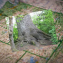 Suche nach fichte postkarten Staat