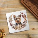 Suche nach yorkshire terrier fliesen Haustier