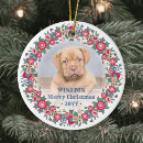 Suche nach blaue blume ornamente Elegant