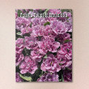 Suche nach tulpen puzzle Geschenkidee