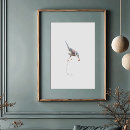 Suche nach jay poster Cyanocitta cristata
