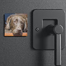 Suche nach trauriges tier magnete Hund