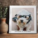 Suche nach single sein fliesen Foto