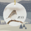 Suche nach dunkel ornamente Singvogel