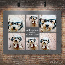 Suche nach grau weiß poster Foto