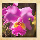 Suche nach orchideen magnete Blumig