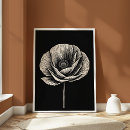 Suche nach mohn poster Botanische abbildung