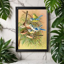 Suche nach vintage vögel poster Dekorativ