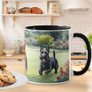 Suche nach scottish terrier tassen Schotter