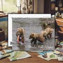 Suche nach seltene postkarten Tierwelt