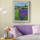 Suche nach lavendelfeld poster Violette blumen