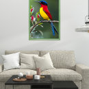 Suche nach gould poster Natur