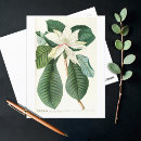 Suche nach magnolien postkarten Weiße blume