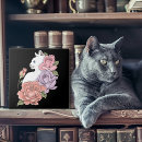 Suche nach weiße rosen fliesen Blumenreich