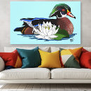 Suche nach enten leinwandbilder Vogelvogel