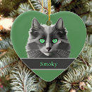 Suche nach graue katzen ornamente Graukatze