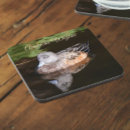 Suche nach americana untersetzer Tiere