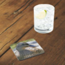 Suche nach stockente untersetzer Vögel