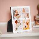 Suche nach haustierartikel Im liebenden gedächtnis