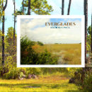 Suche nach everglades postkarten Souvenir