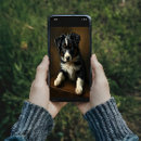 Suche nach für collies poster Kaninchen