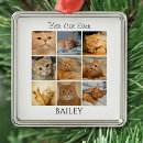 Suche nach katzen ornamente Modern