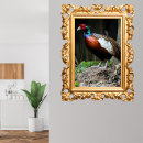 Suche nach fasan poster Vögel