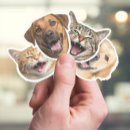 Suche nach katzengesicht aufkleber Spaß