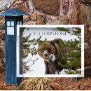Suche nach grizzlybären postkarten Fotografie