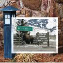 Suche nach bison horizontale postkarten Winter