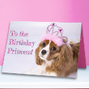 Suche nach kings karten Für kinder